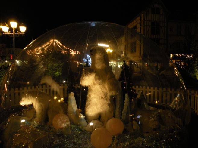  ours dans une bulle de verre, place Foch